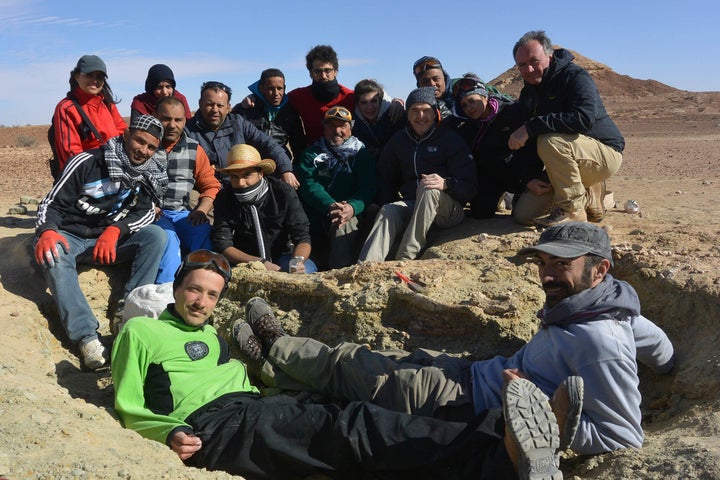 Federico Fanti and his colleagues next to the newly discovered skull and fossils of the giant marine crocodile Machimosaurus rex.