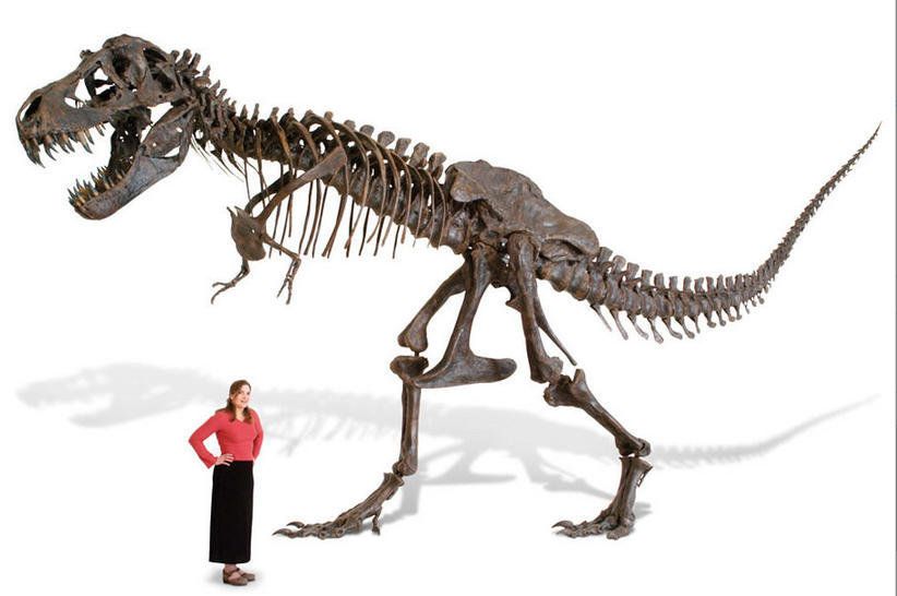 15,000 life-size replicas of a T. rex skeleton
