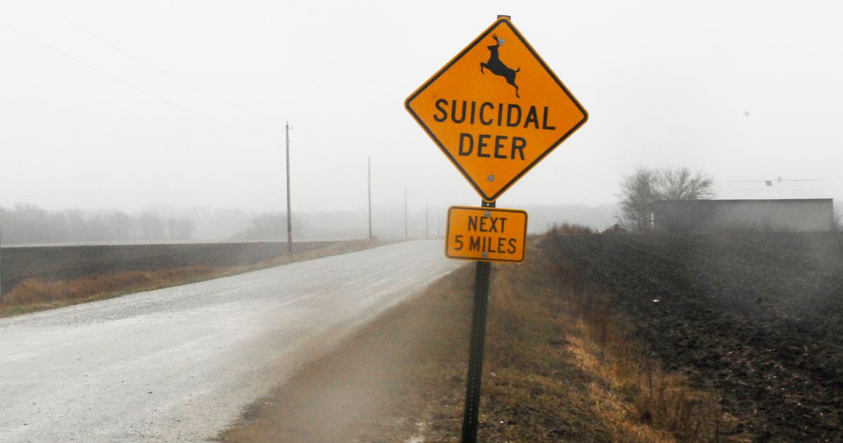 'Suicidal Deer' Sign Definitely Gets Drivers' Attention
