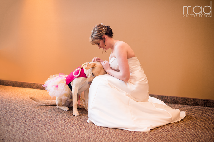 This bride and her 3-year-old yellow lab are best friends fur-ever.