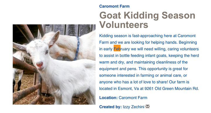 Caromont Farms in Esmont, Virgina put up an online ad seeking volunteers to feed, cuddle and love their newborn goats.