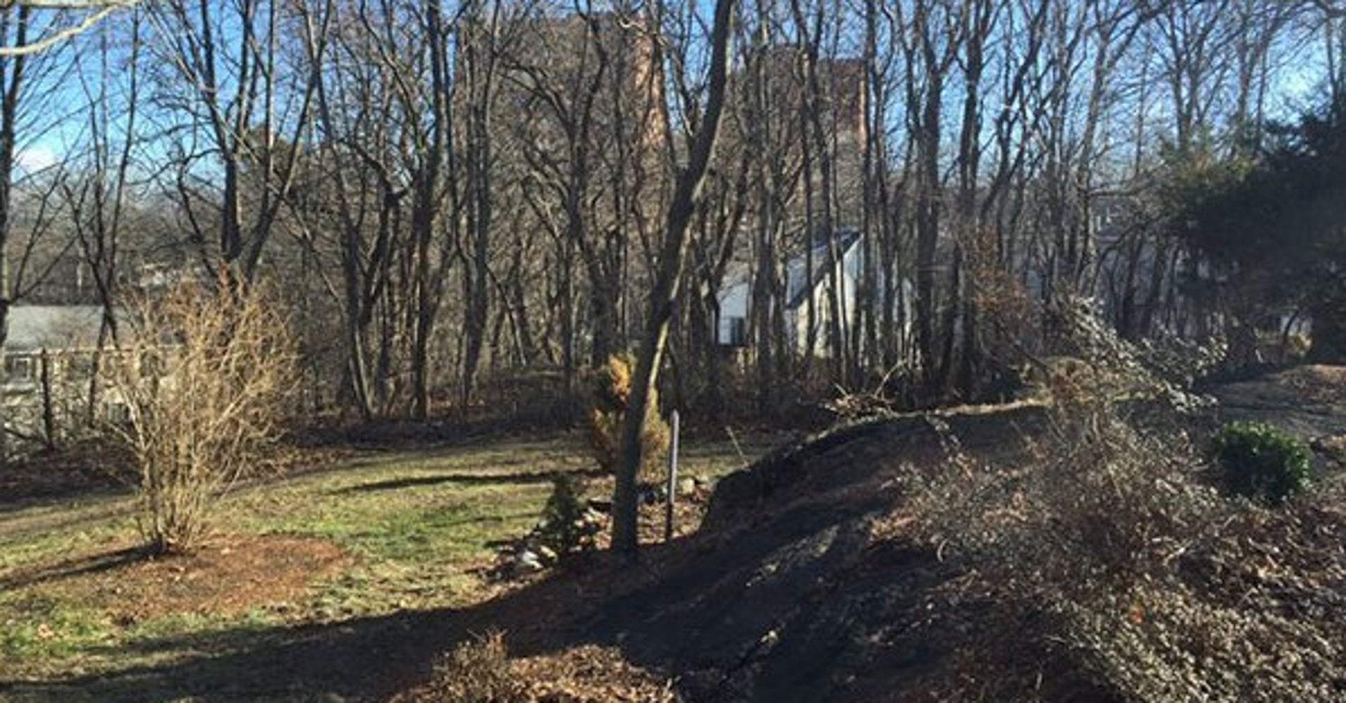 Salem Witch Trials Execution Site Found, And It's Behind A Walgreens