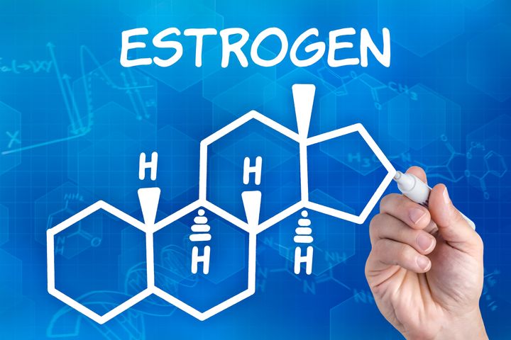 Researcher Sabra Klein said her team's recent study demonstrates why looking at estrogen's effect on the whole body, and not just the reproductive system, is an important women’s health issue.