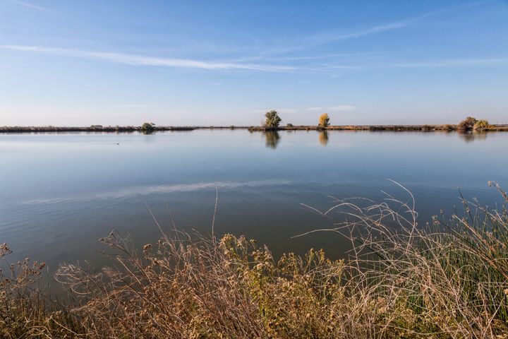 “If this water was just going to a human use, there probably won’t be any problem, but if it goes to a wildlife area where it can accumulate in plants and animals, then it’s going to be a problem,” retired biologist Felix Smith said. This images shows Mendota Wildlife Area in the San Joaquin Valley.