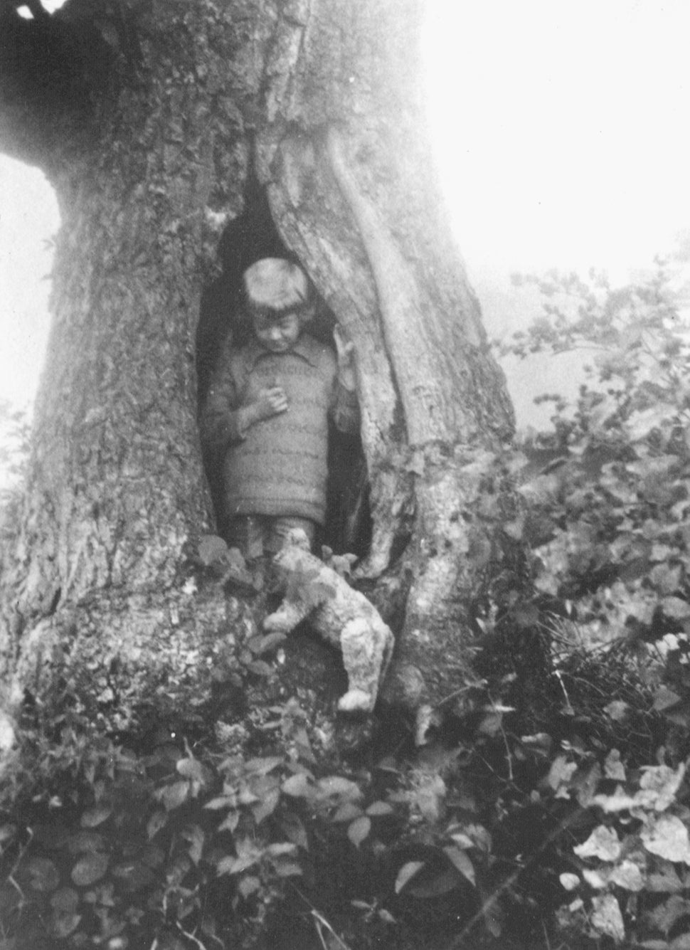 Christopher Robin with Pooh, Piglet, and Roo in the original walnut tree.