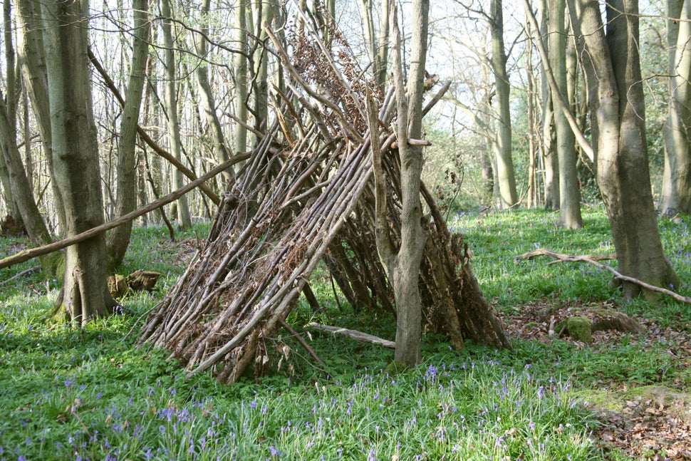 Eeyore houses spring up in the woods of Ashdown Forest.