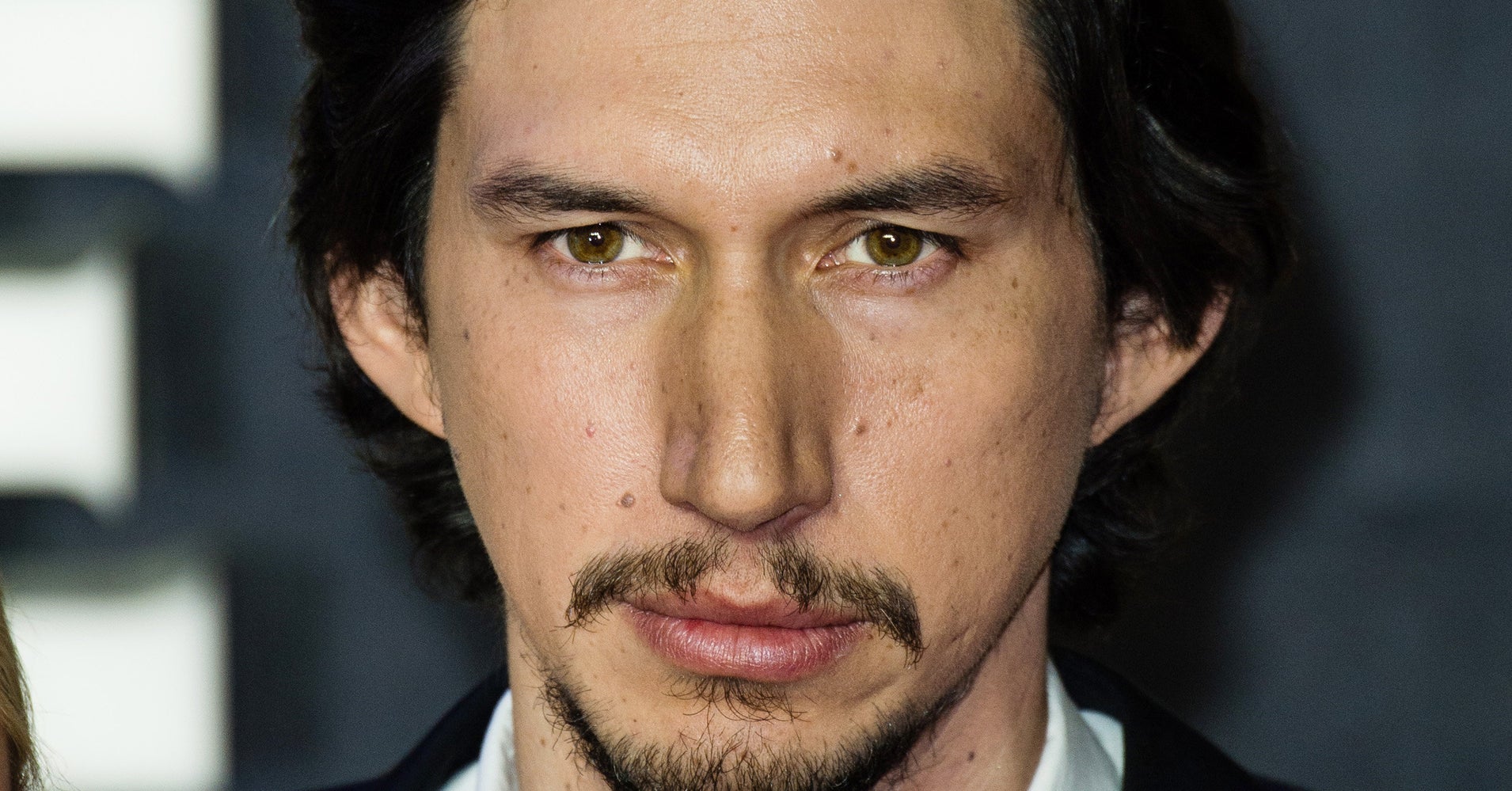 Does This Cat Look Like Adam Driver? HuffPost