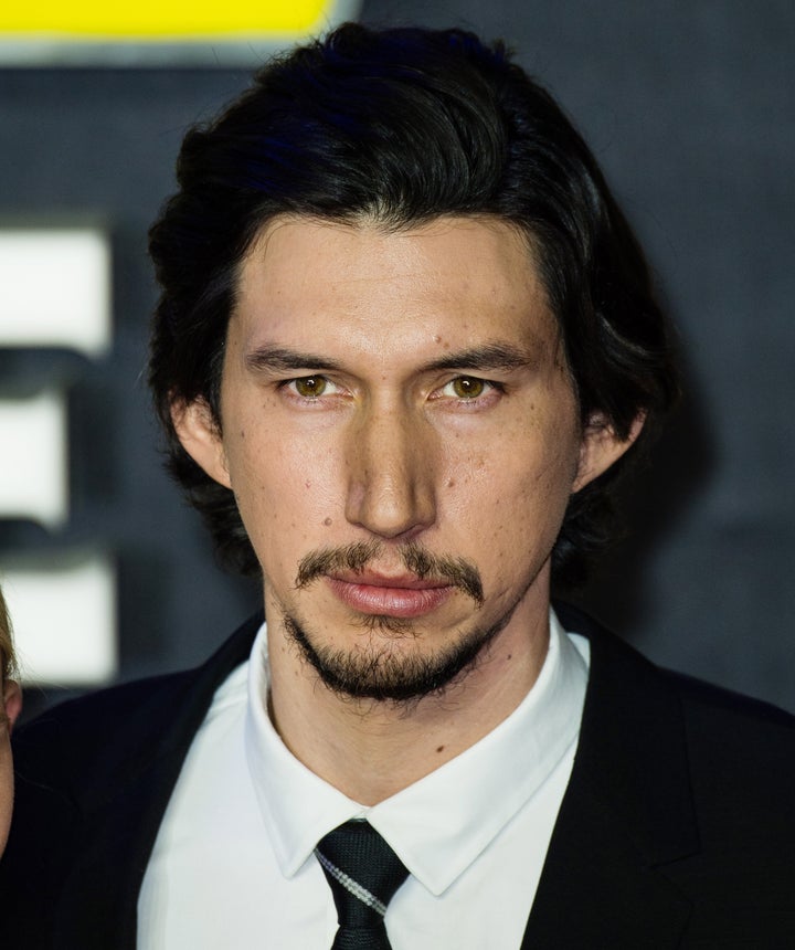 Does This Cat Look Like Adam Driver? | HuffPost
