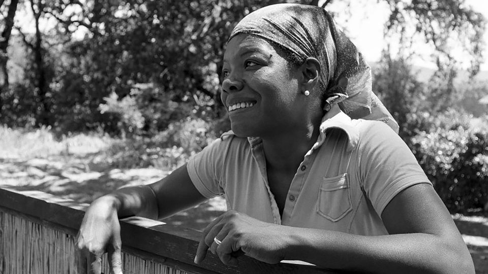 "Maya Angelou: And Still I Rise"