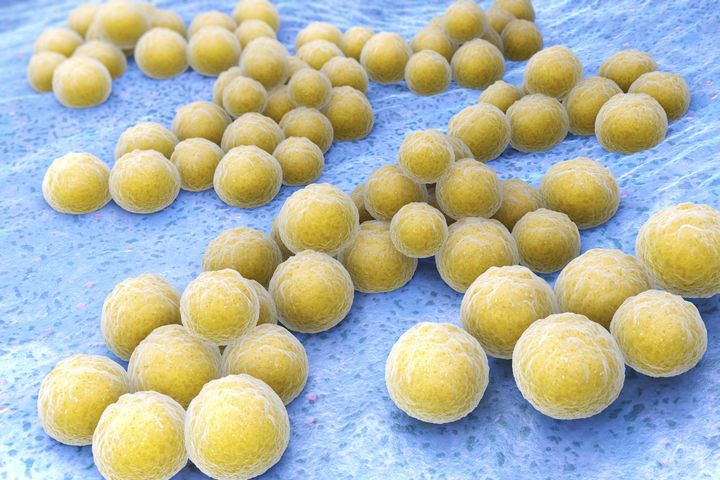 Methicillin-resistant Staphylococcus aureus (MRSA) is a bacterium responsible for several difficult-to-treat infections in humans.