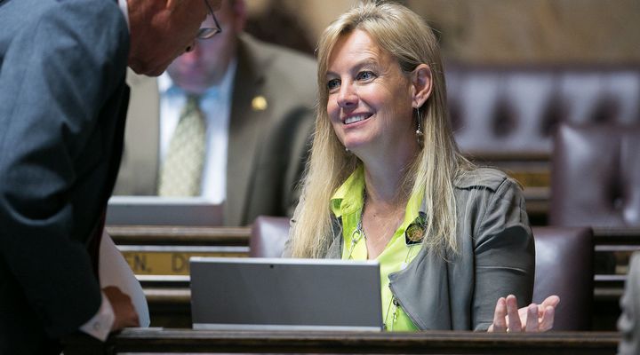 Rep. Mary Dye, seen on the floor of the Washington House of Representatives. Dye upset a group of teens by asking if they were virgins. 