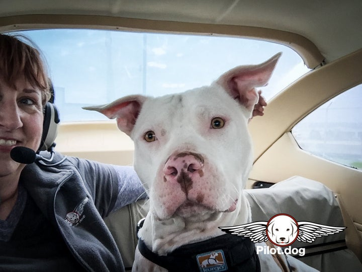 Pam Rhode and Goblin prepare for his rescue flight to Pennsylvania.