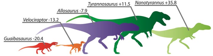 A comparative infographic of speed adaptation scores for (from left to right) Guaibasaurus, Velociraptor, Allosaurus, Tyrannosaurus and the controversial Nanotyrannus.