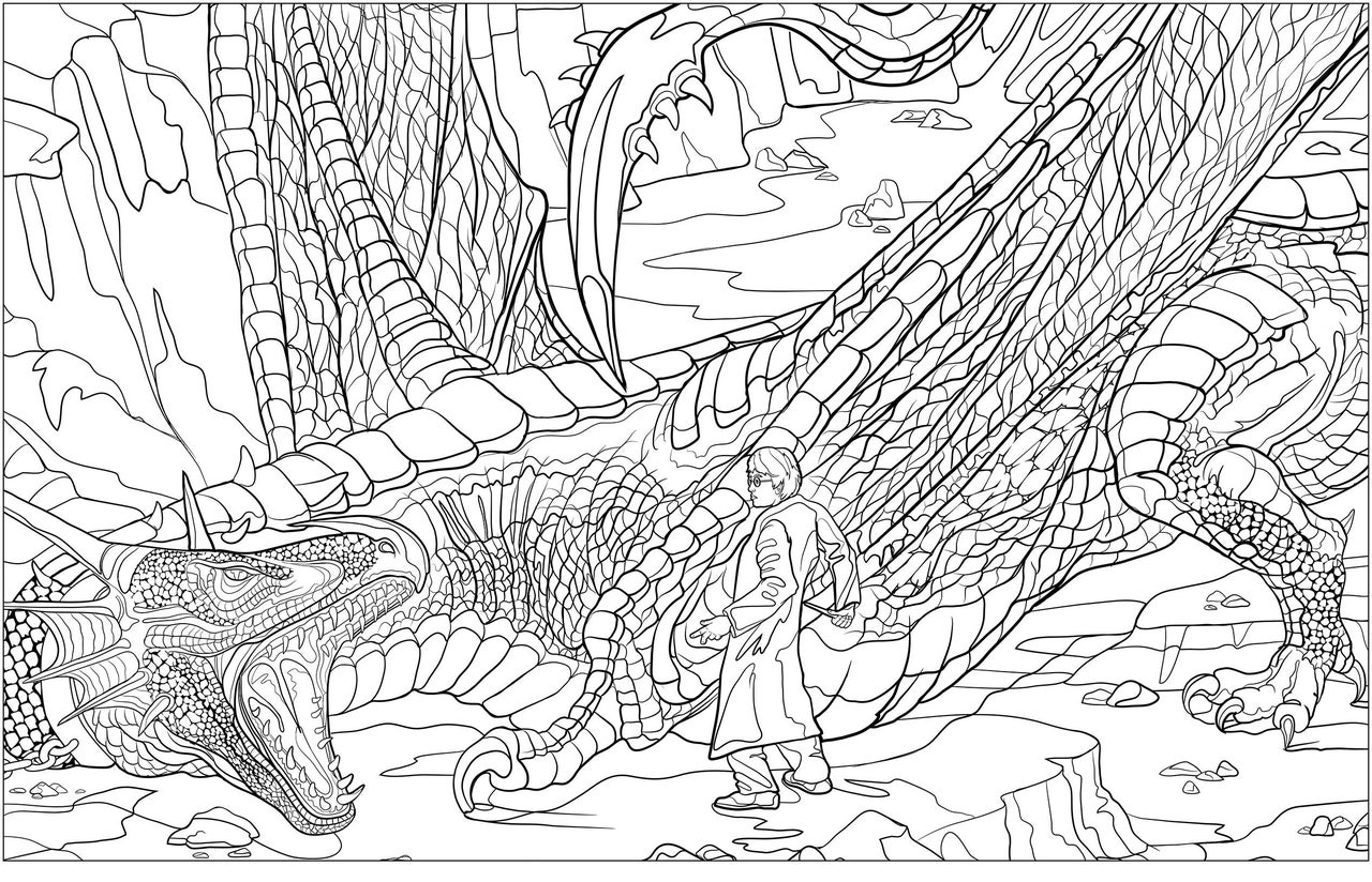 SCHOLASTIC HARRY POTTER COLORING BOOK