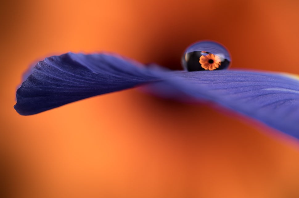 <a href="https://www.eyeem.com/p/79341049" target="_blank">AchilleSalerni/EyeEm</a>