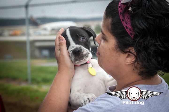 Gigi tenderly says her goodbye to one of the pups.