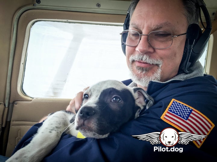 Mike cuddles one of the puppies during the two-hour flight.