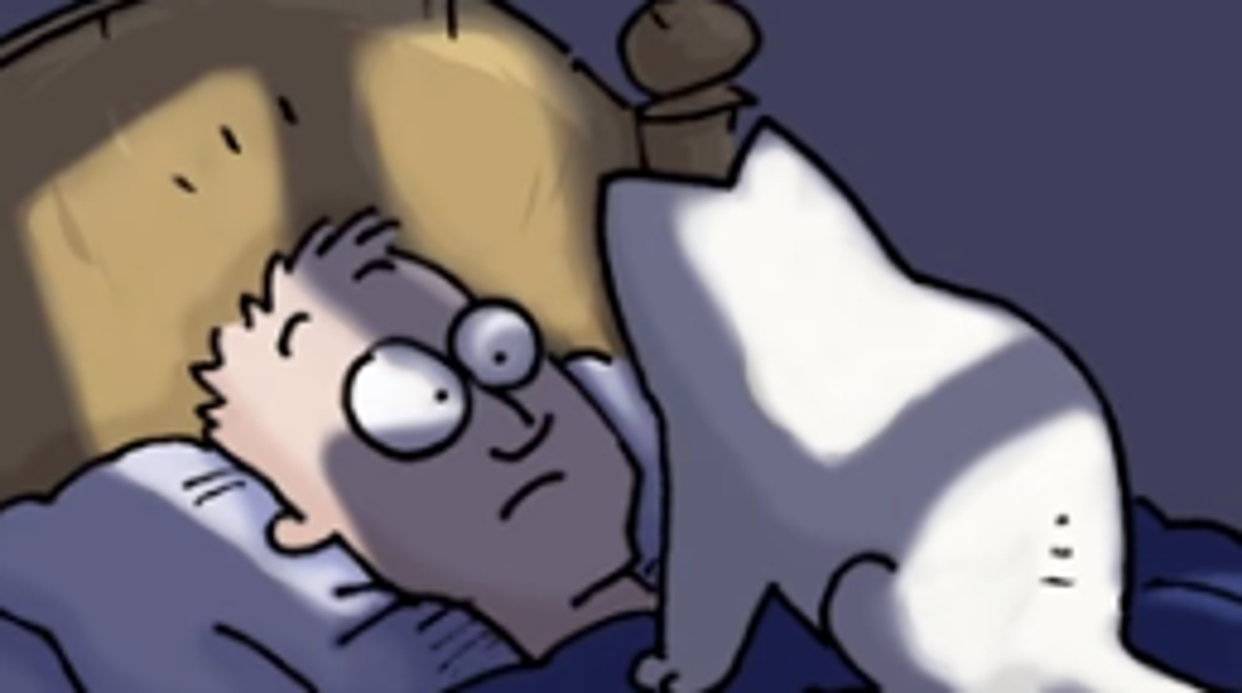 This Is Really Why Your Cat Suddenly Goes Crazy HuffPost Weird News