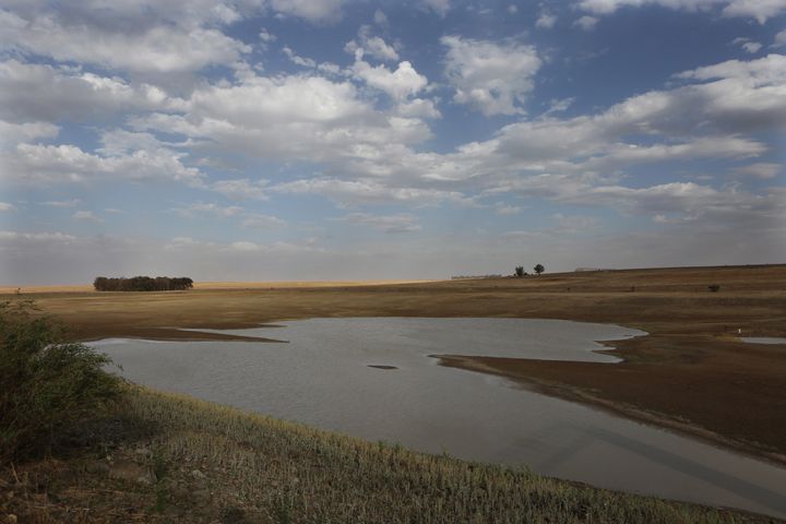 This Jan. 7, 2016 photo shows the almost dried-up local dam in Senekal, South Africa where taps and water sources have run dry. (AP Photo/Denis Farrell)