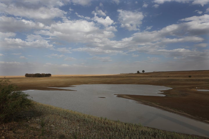 This Jan. 7, 2016 photo shows the almost dried-up local dam in Senekal, South Africa where taps and water sources have run dr