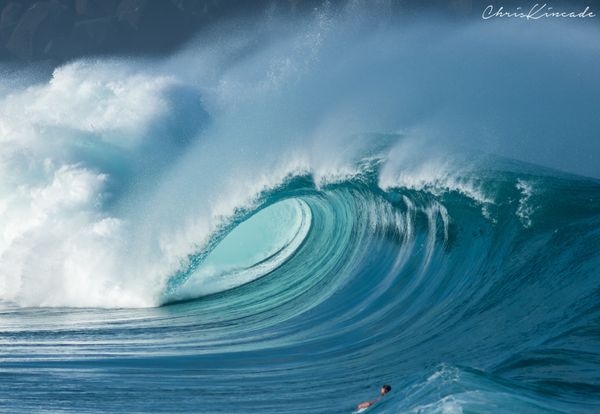 Surfing Great Kelly Slater Saves Mom And Baby As Monster Waves Hit ...