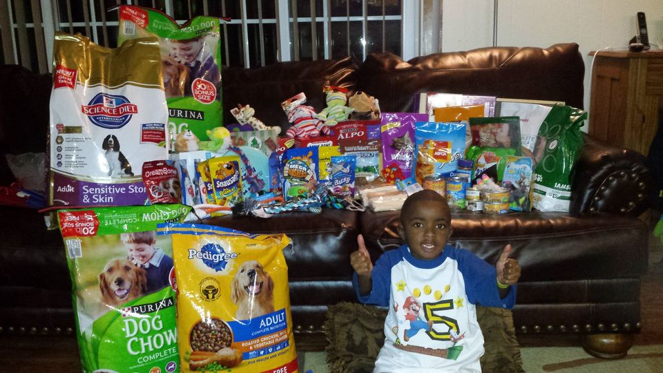 The boy who dedicated his 5th birthday to helping animals in need