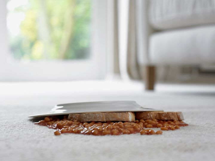 It's safer to spill food on carpets or rugs, because their tufts have less surface area to transmit germs.