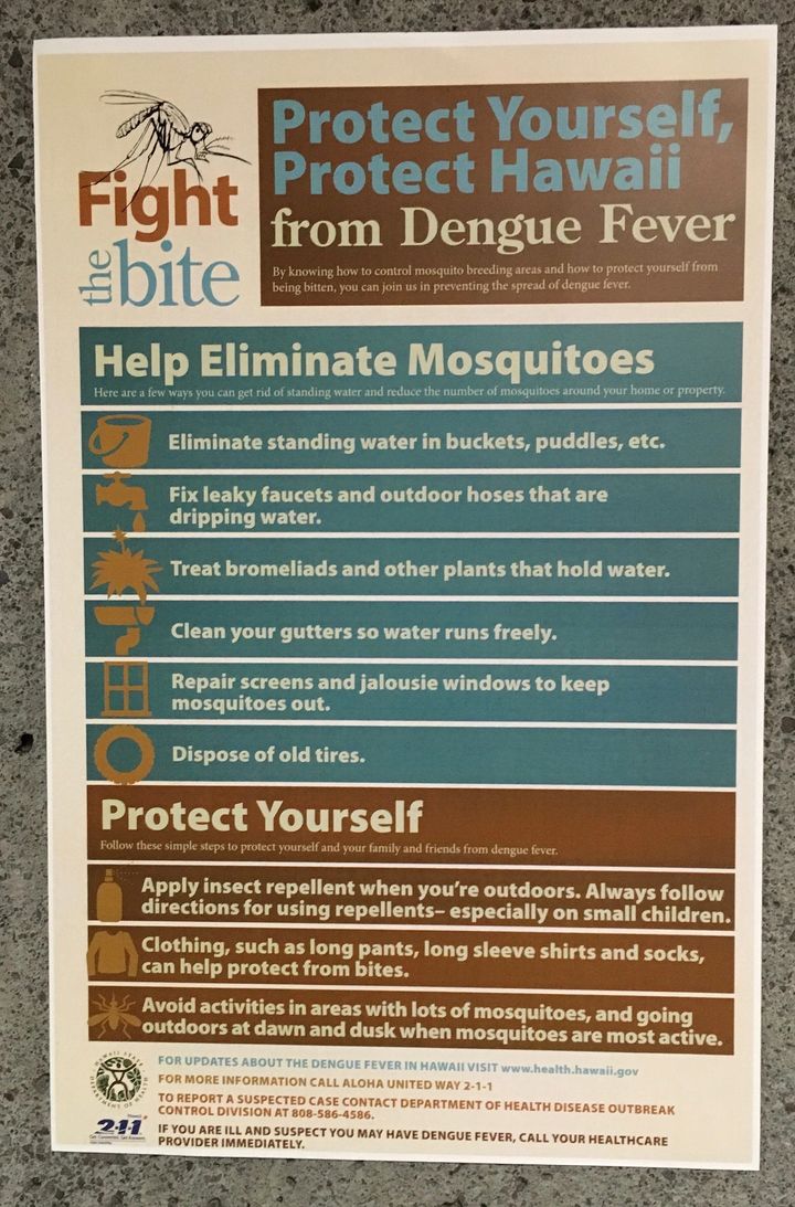 Hawaii launched a "Fight the Bite" campaign to spread information about dengue fever.