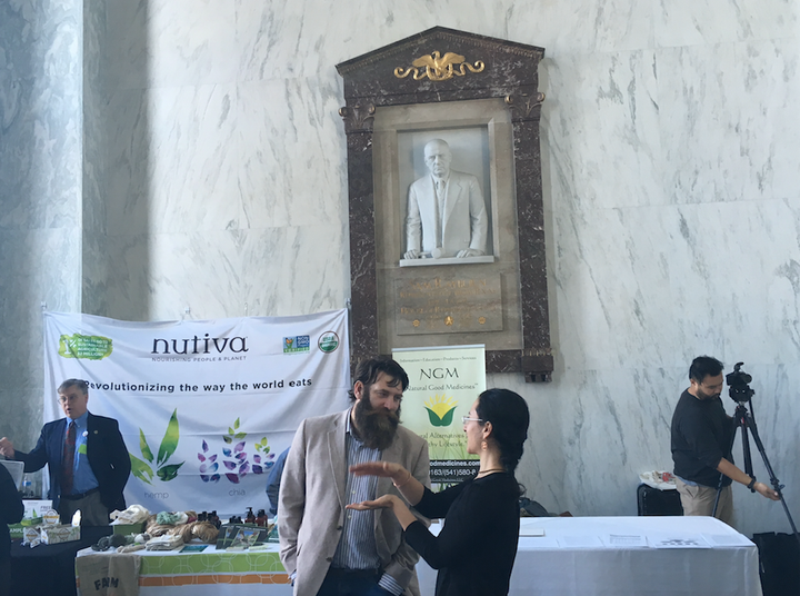 Hemp supporters meet on Capitol Hill as a marbled version of former Speaker Sam Rayburn looks on.