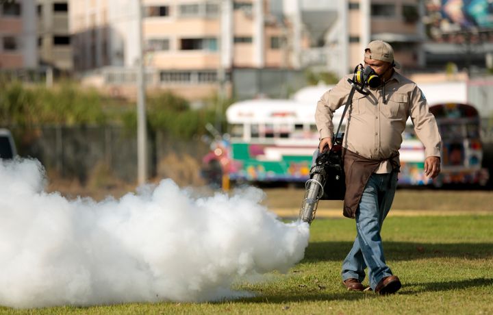 A worker fumigates for <em>Aedes aegypti</em> mosquitoes where carnival celebrations will be held in Panama City. Authorities announced on Monday that 50 cases of the Zika virus infection have been detected in Panama's sparsely populated Guna Yala indigenous area along the Caribbean coast.