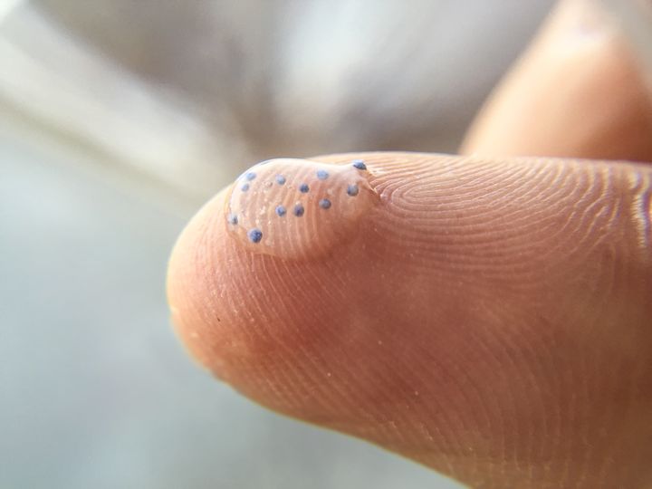 Tiny plastic beads used in products such as facial cleansers and toothpaste have started showing up in lakes and oceans around the world.
