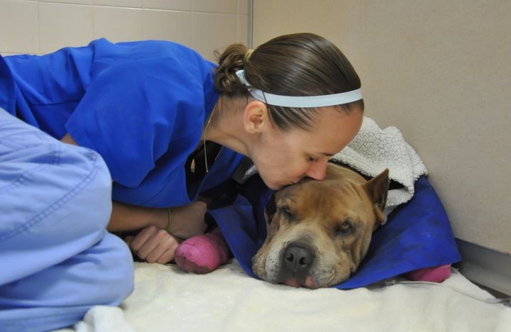 Clinic staff member Katie K. "Smalls" gets in some cuddle time with Tuff Guy.