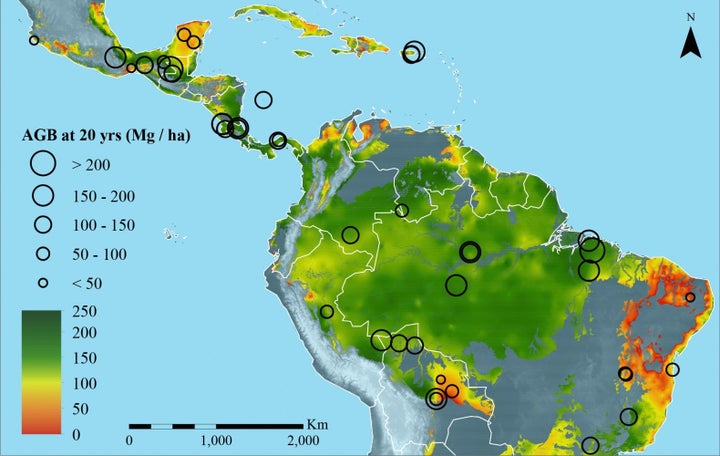 The researchers urge policymakers to use this map to prioritize forests for conservation.