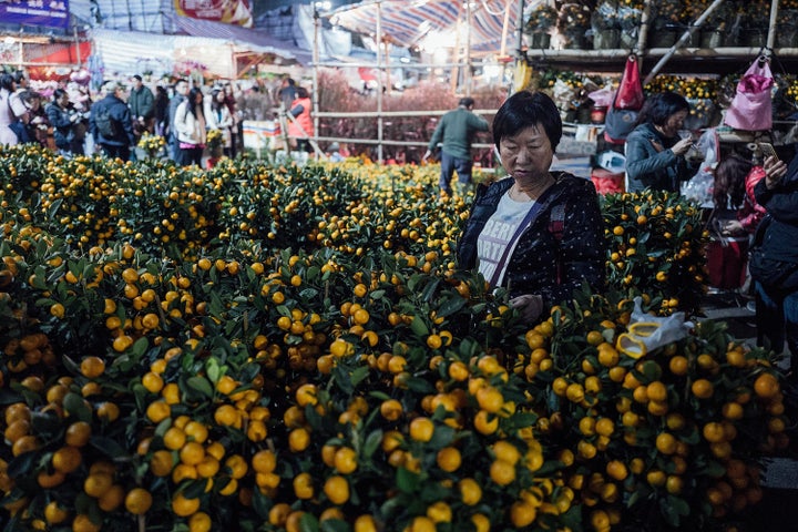 People visit a Chinese New Year Fair to get tangerines for luck in the upcoming year on February 4, 2016 inf Hong Kong.