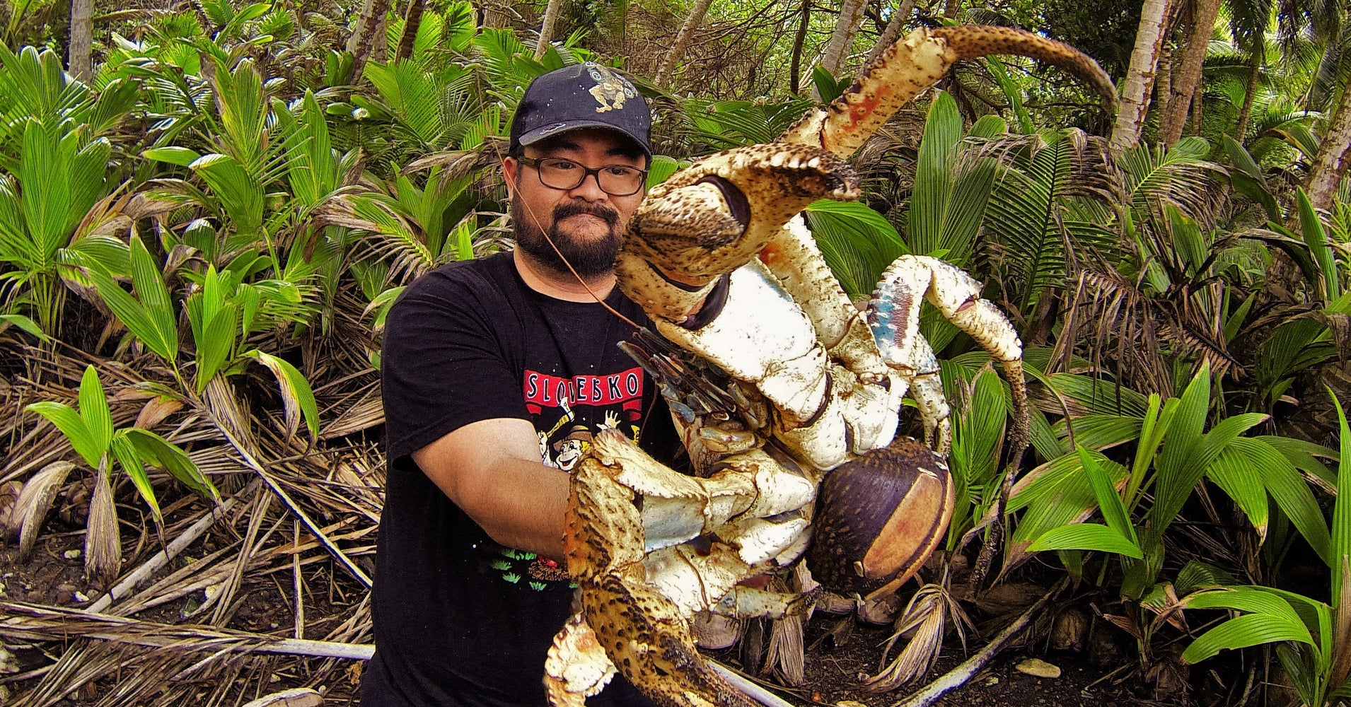 Christmas island crabs Holy Crab! Fearless Australian Poses With Massive Coconut Crab | HuffPost