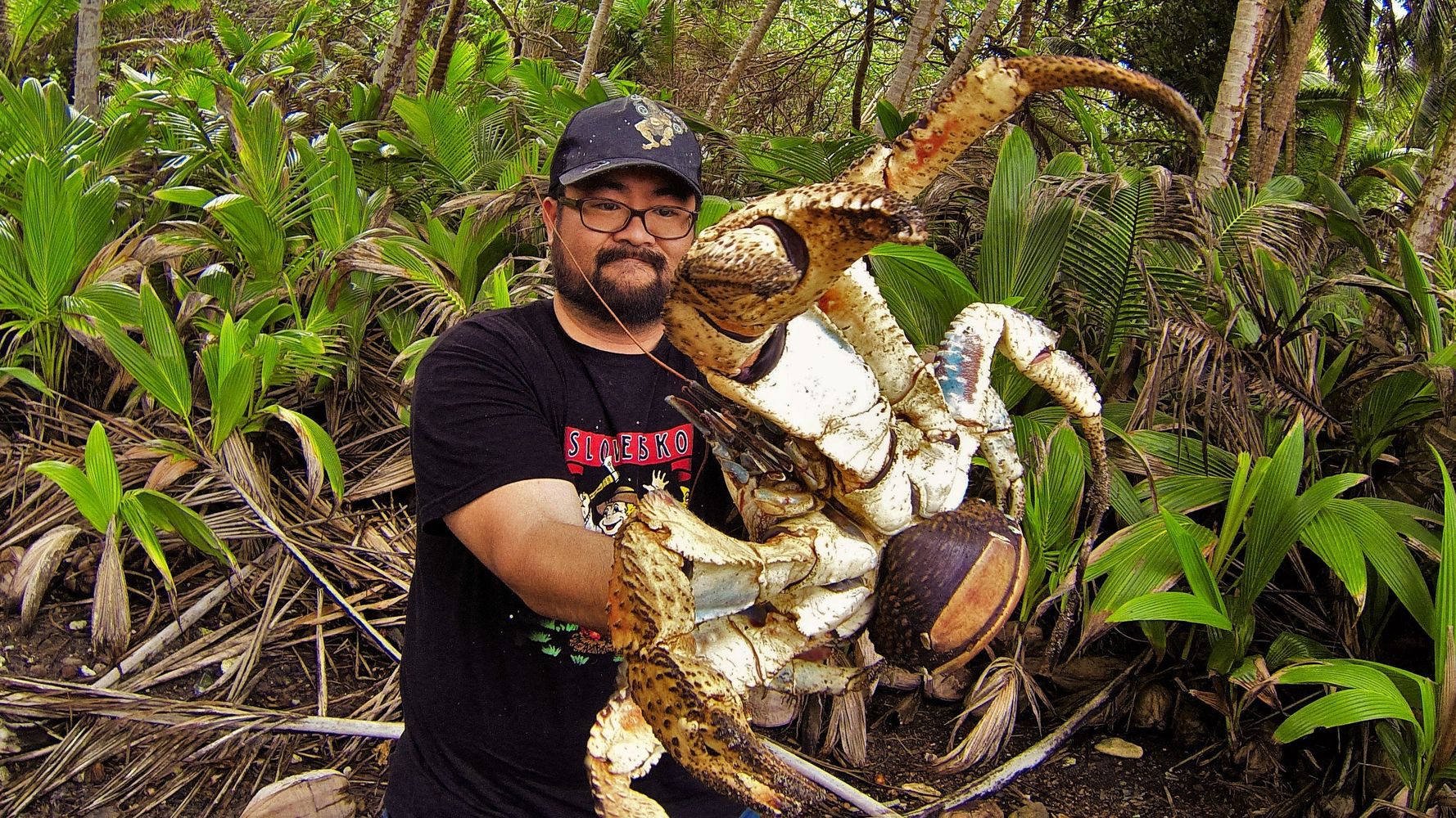 Holy Crab! Fearless Australian With Massive Coconut Crab | HuffPost null