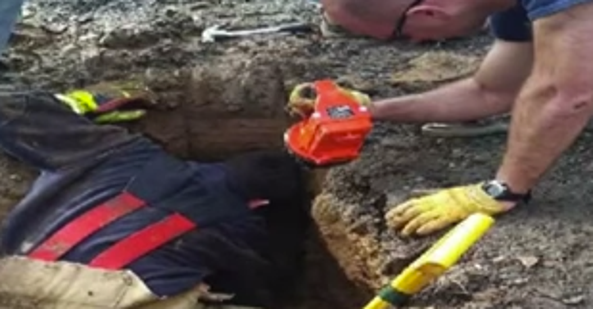 Dog Missing For 72 Hours Is Found Buried Alive In Sinkhole HuffPost