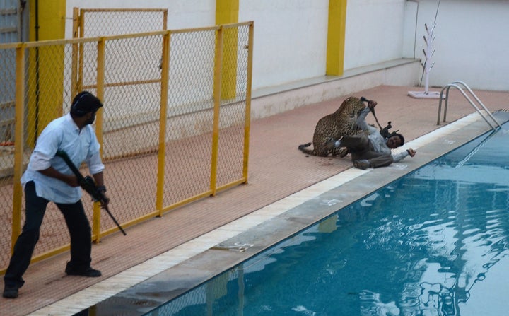 A man with a tranquilizer gun looks on as a leopard attacks a man identified as Sanjay Gubbi.