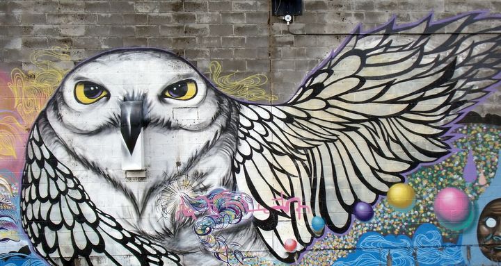 The suicide rate in Nunavut is nearly 10 times Canada's national average. An owl is painted on a mural in the city of Iqaluit, Nunavut.