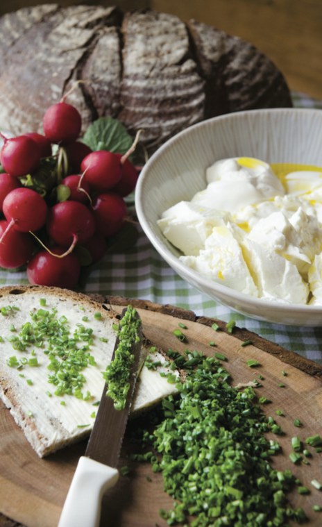 Ricotta Cheese Romana P.D.O. - Dop Italian Food