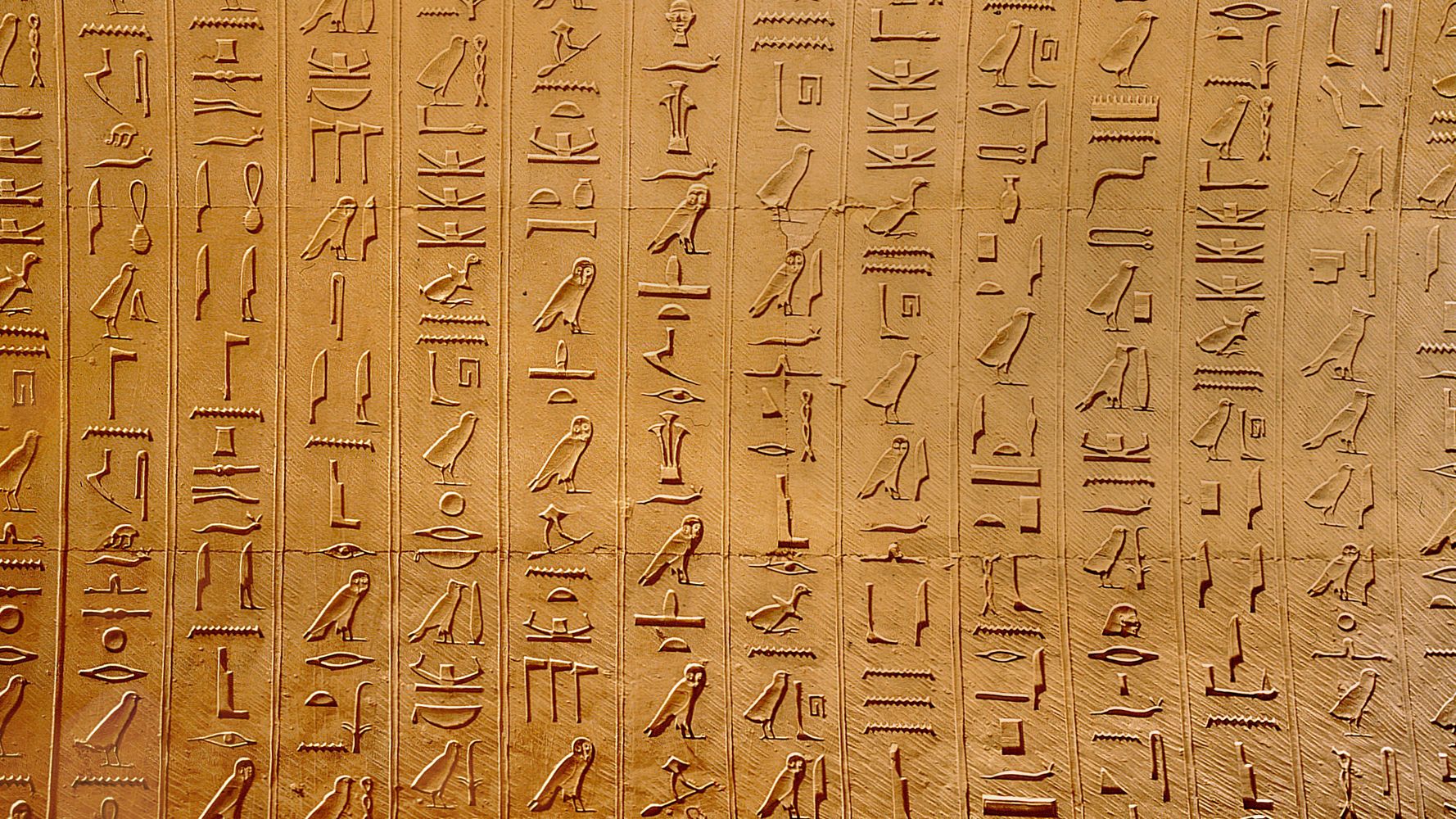 Египетские иероглифы на папирусе