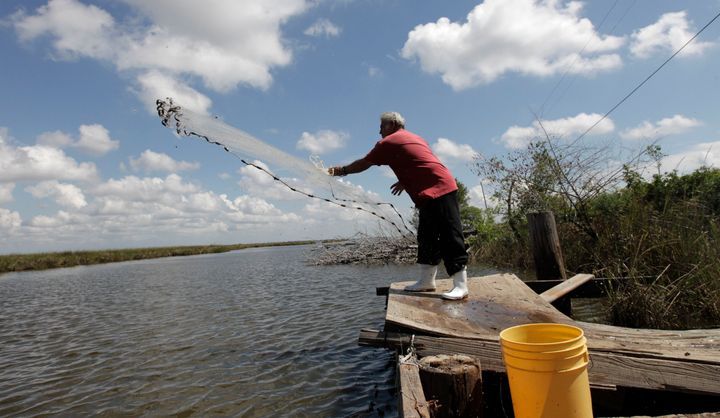 Edison Dardar, an American Indian, tosses a cast net for shrimp on the edge of Pointe-aux-Chenes wildlife management area, in Isle de Jean Charles, Louisiana.