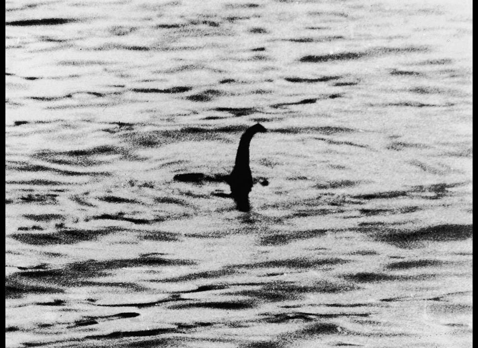 If The Loch Ness Monster Is Ever Found, Scotland Has A Plan For What To ...