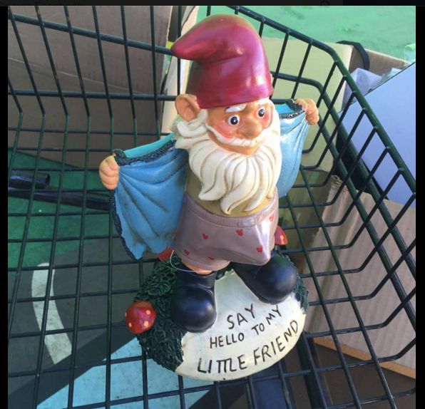 Gnome Rule 34