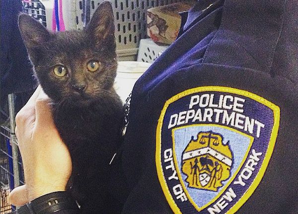 Jellybean and her foster dad, an NYPD officer at the city's 9th Precinct.