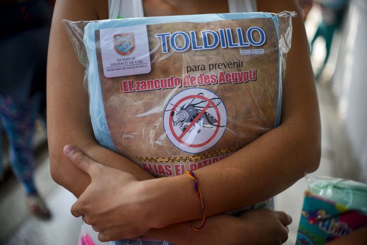 A pregnant woman holds a mosquito net in Cali on February 10, 2016. The Colombian Health Ministry began delivering mosquito nets for free to pregnant women to prevent the infection by Zika virus, vectored by the Aedes aegypti mosquito. The World Health Organization on Tuesday urged caution about linking the Zika virus with a rare nerve disorder called Guillain-Barre which health officials in Colombia have blamed for three deaths.