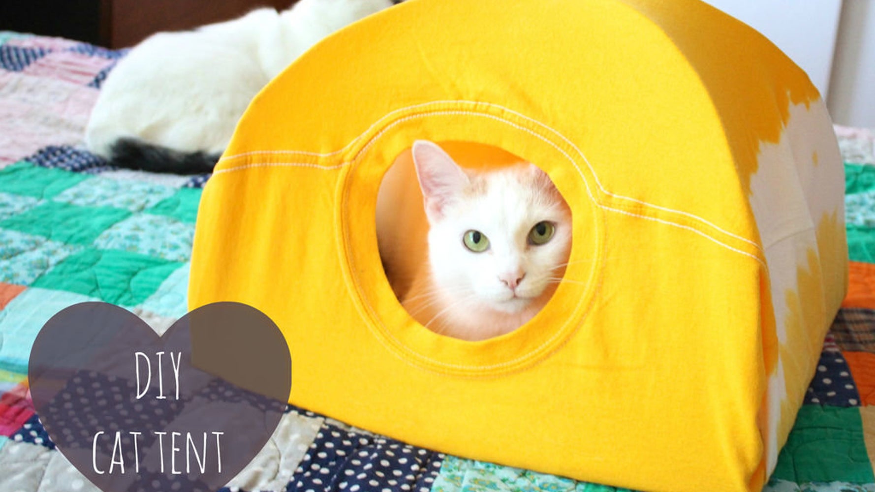 Лежанка для кота из коробки
