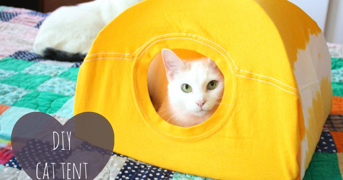 3 Steps To Make A Cat Tent From An Old T-Shirt