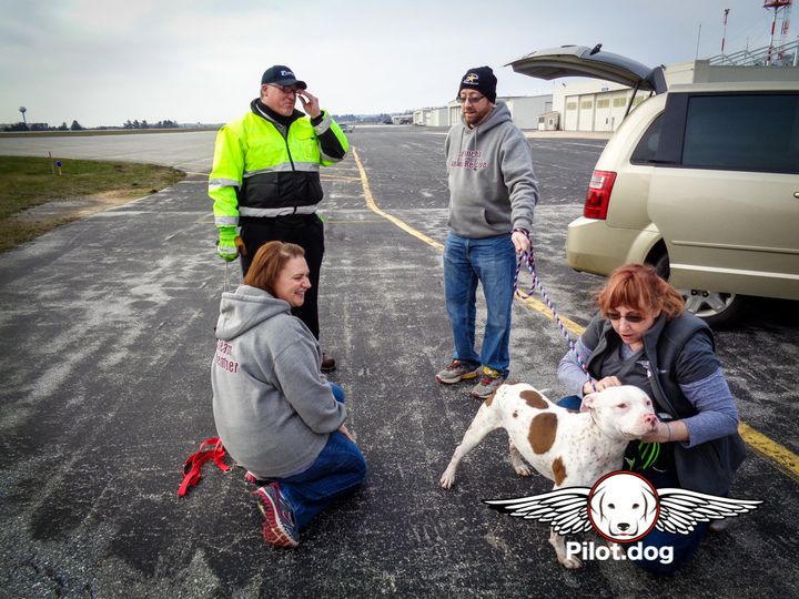 Volunteers and ramp crew meet us at the airport to transfer Goblin to the rescue.