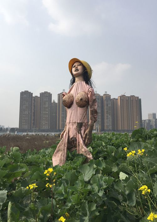 Blowup Sex Doll Serves As Scarecrow Is Big Turnoff For Birds